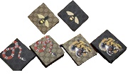Cartera Gucci 6 Diseños