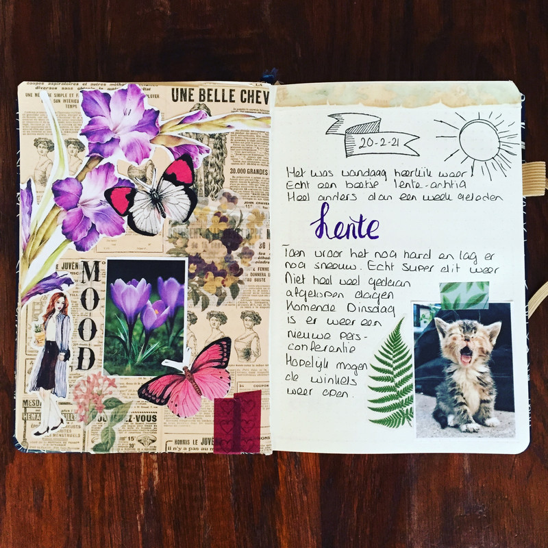 EB89AFE6-FDE1-4B11-BE05-F953EC87A19C