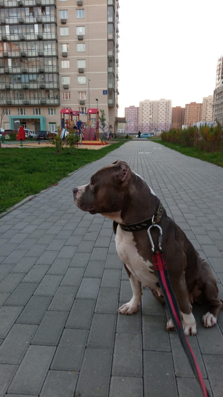 4A408D08-C7D4-407E-BC32-C2B57EAEFB81