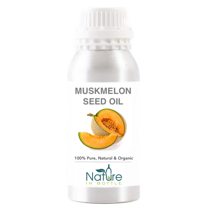 Muskmelon Seed Oil Organic Cucumis Melo India