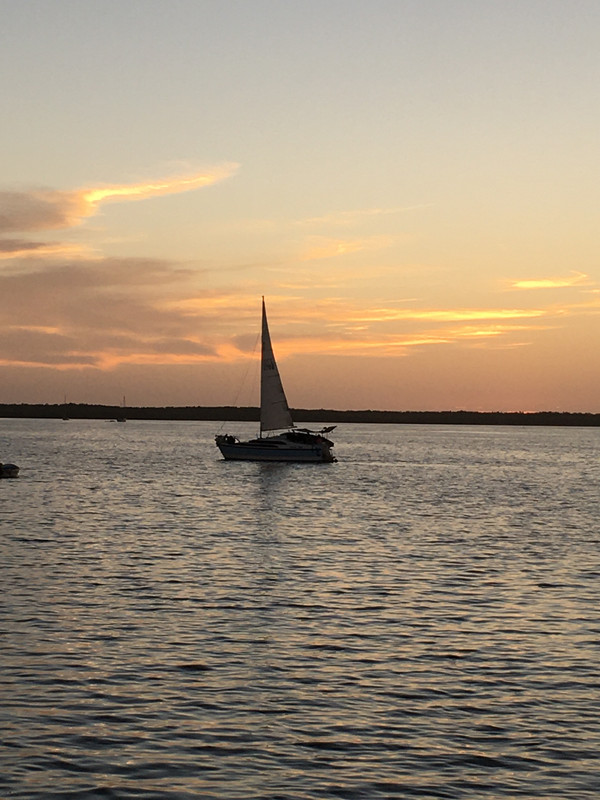 323D7915-0BEA-4ADE-80E3-3873C660A8C0