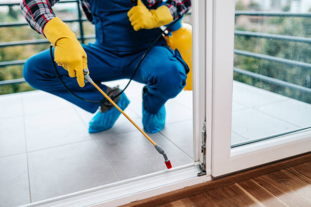 Orlando Termite Treatment