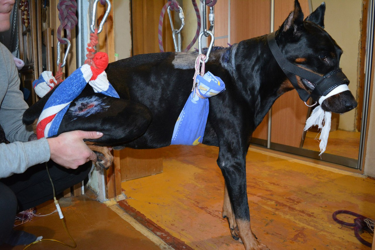 Хантеру массажируют