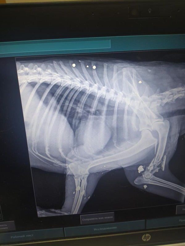 D292F69A-5735-452F-870D-43AA55E41811