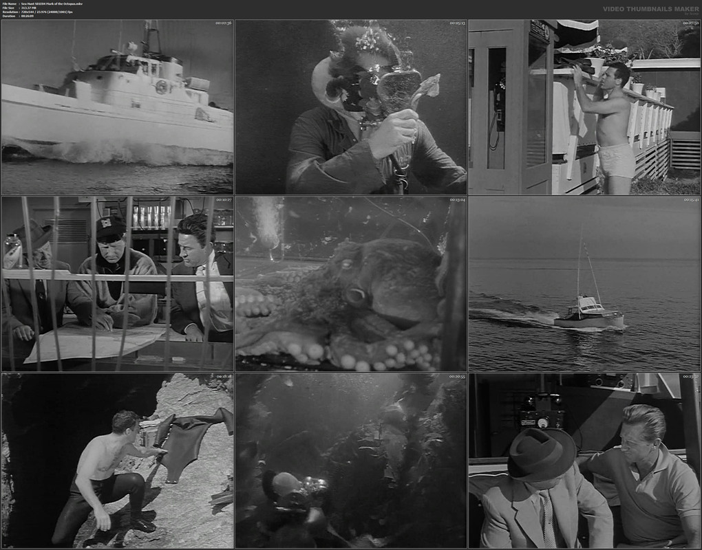 Sea Hunt S01E04 Mark of the Octopus.mkv
