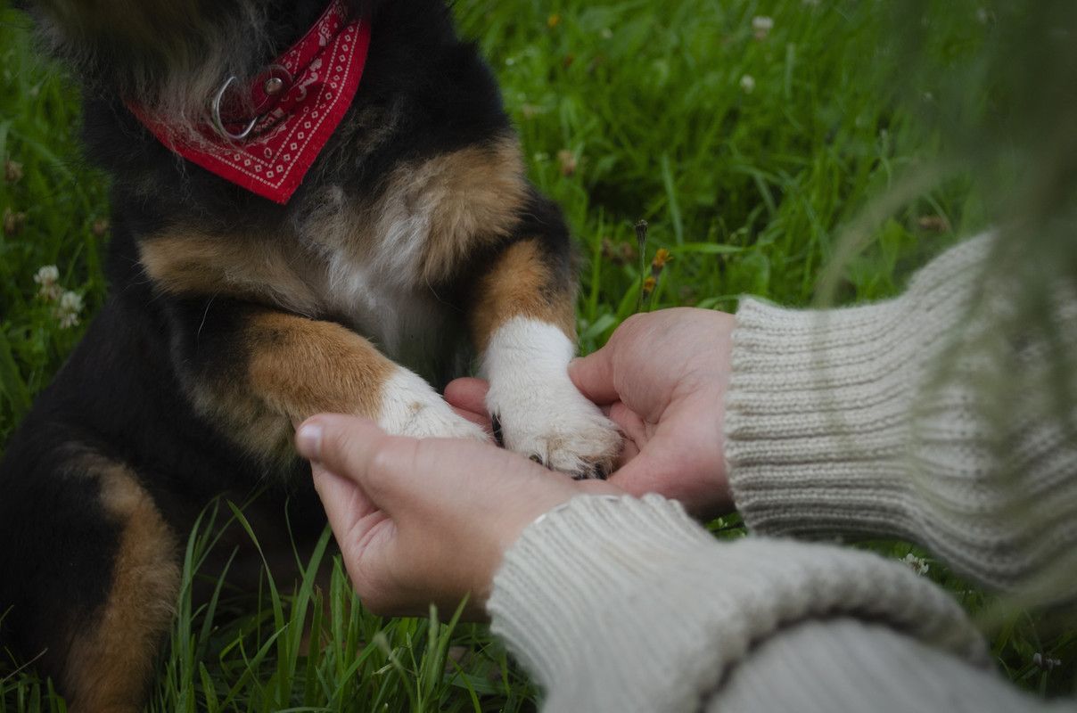 0C35DF8E-A60D-44A8-9AB8-ECF947F54BB7