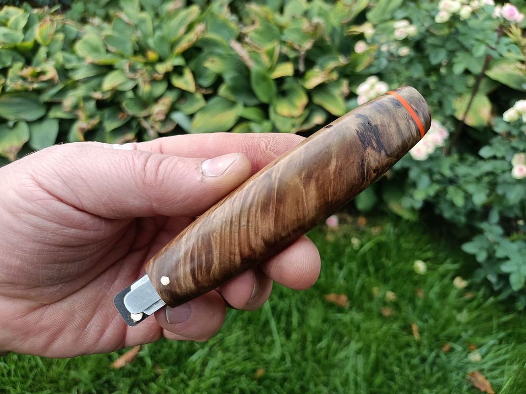 459145577_3603210279928669_7309066418994556079_n — копия