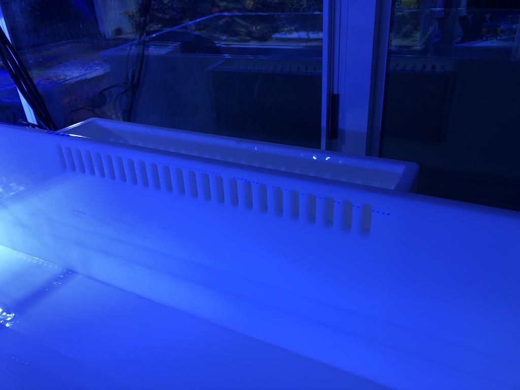 E1616AB5-E69D-4901-A1AE-A421843DFE13