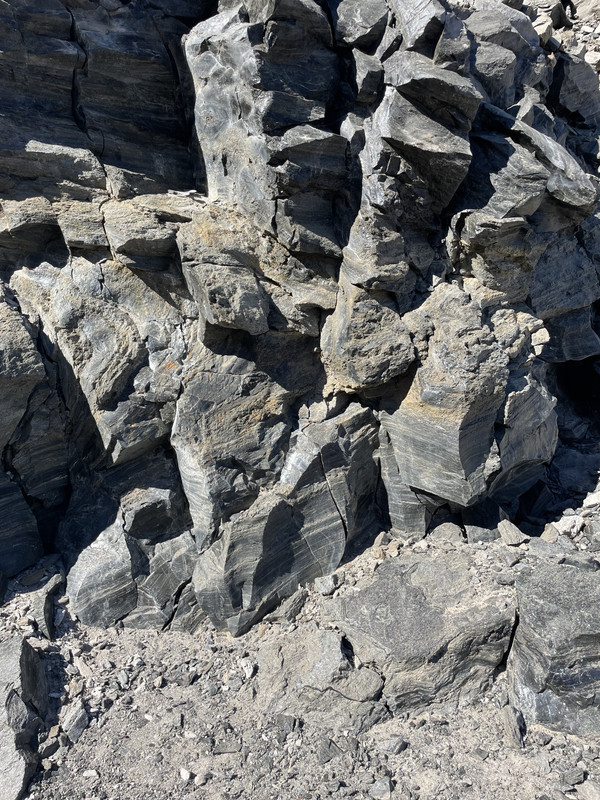 6F9C9F49-2B6D-4B2B-9A8A-F0E5DD3BA4FC