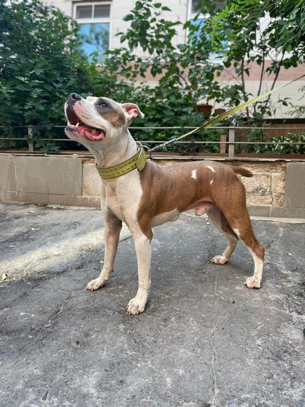 WhatsApp Image 2022-08-05 at 14.54.01 (1)