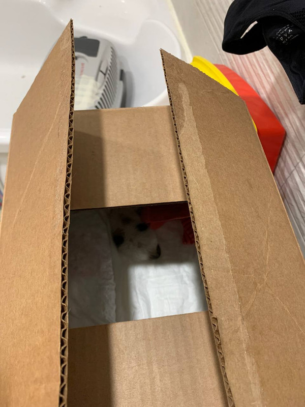 3225C82F-DC0F-4400-AFAD-23AD820774E5