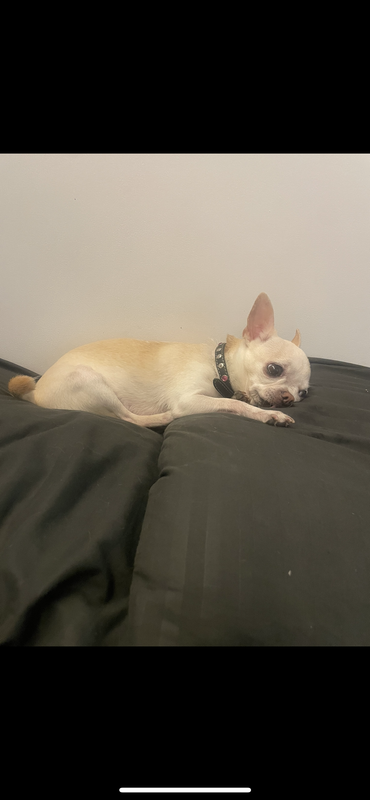 5FCD254E-E2A5-43C9-810E-A368FF6EB11B