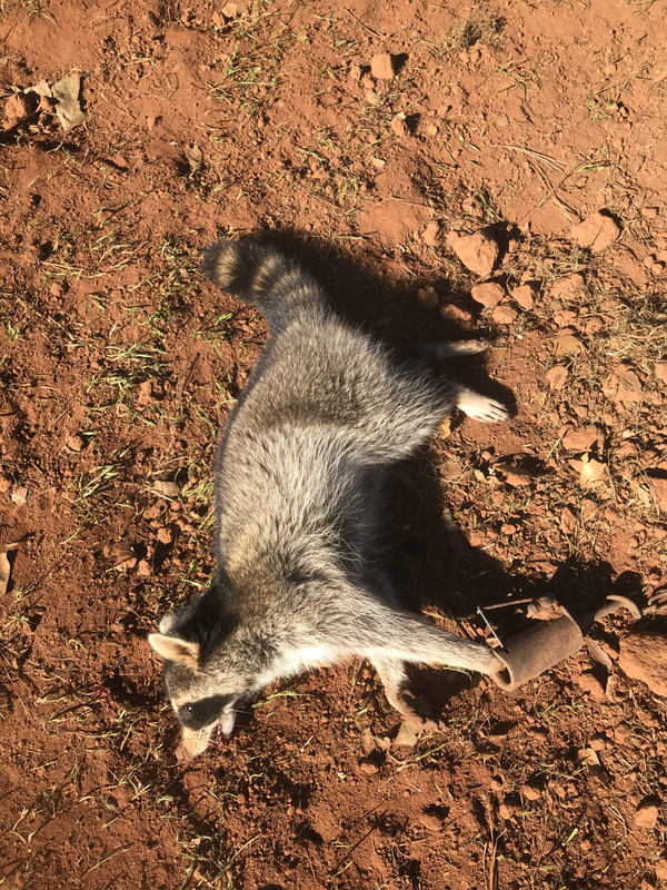 4914588A-16B1-474A-AC27-7197D8878683