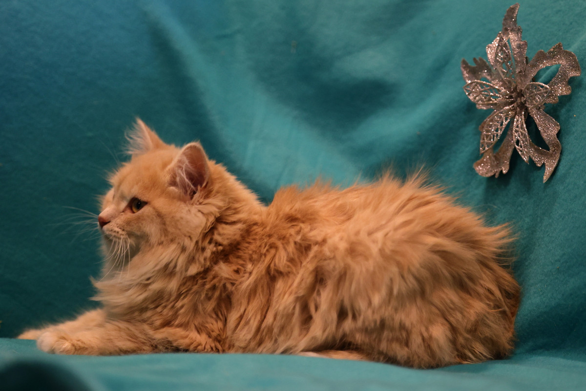 C8E96D82-A4B3-4009-A6EA-BAF3735CCABD