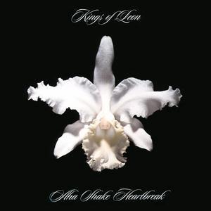 Re: Kings Of Leon