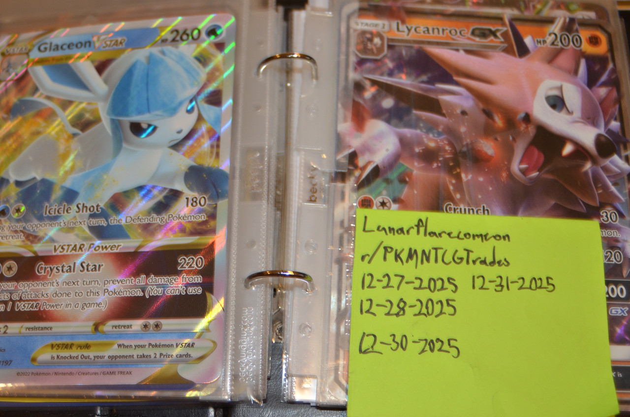 oversized binder (19)