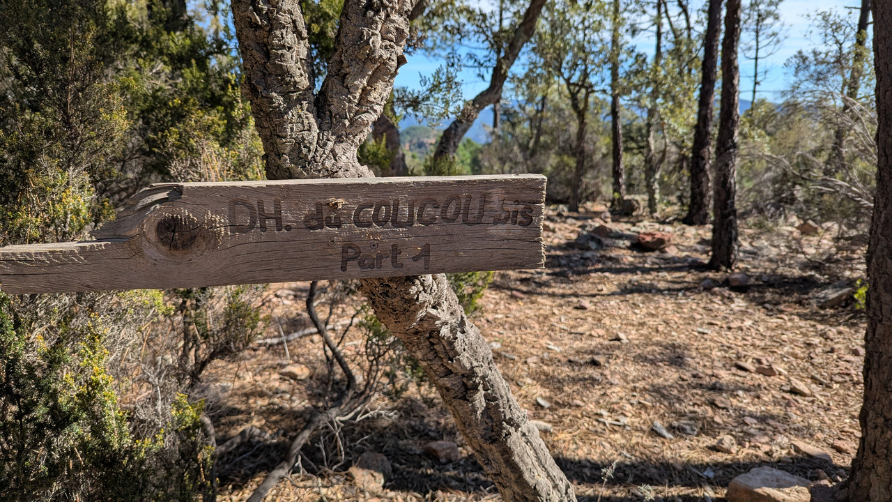 PXL 20260221 112455878 MP