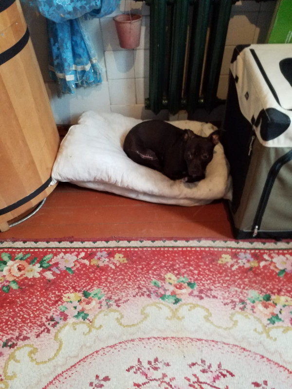 B0BF105D-6168-4899-9DB0-8832FE192E8D