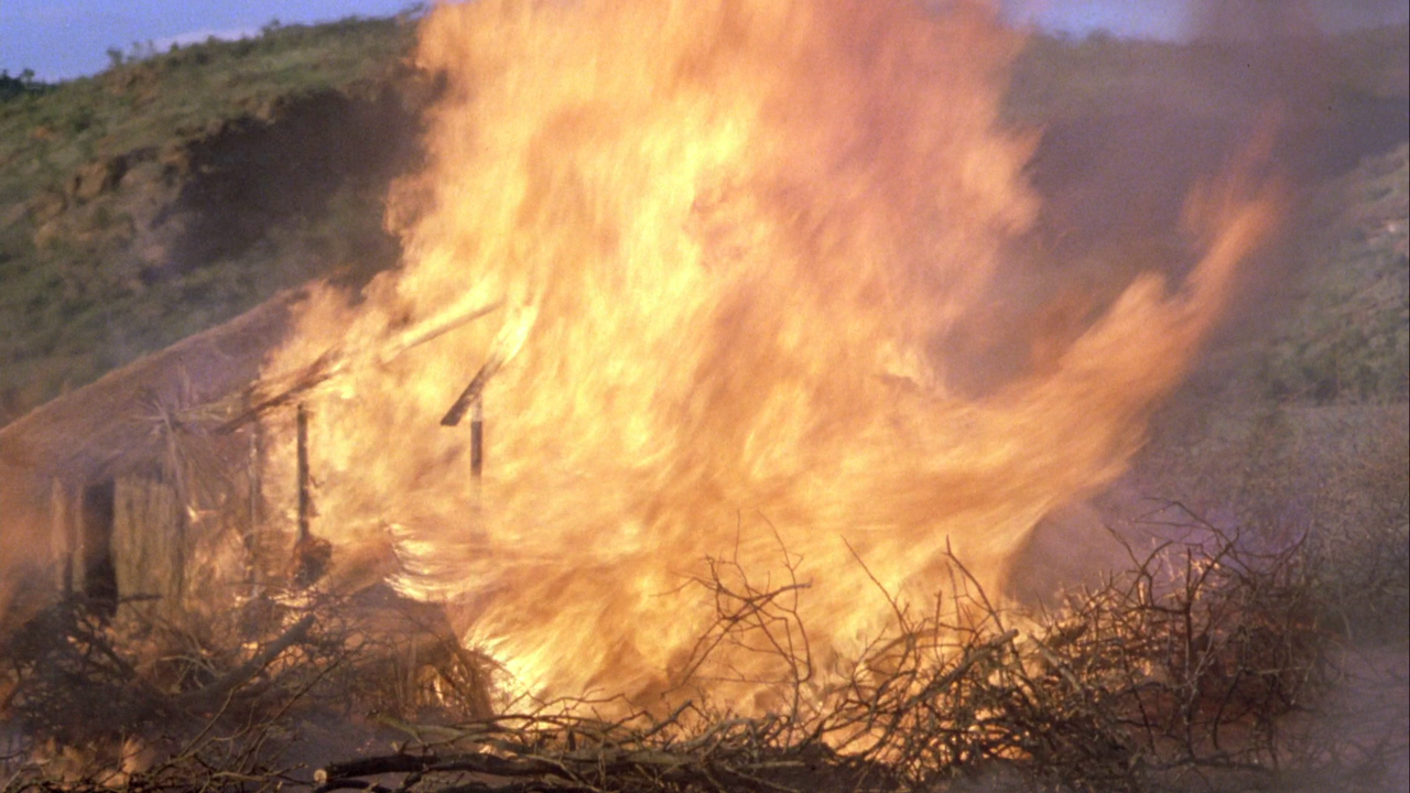 vlcsnap-2024-01-31-21h45m11s137