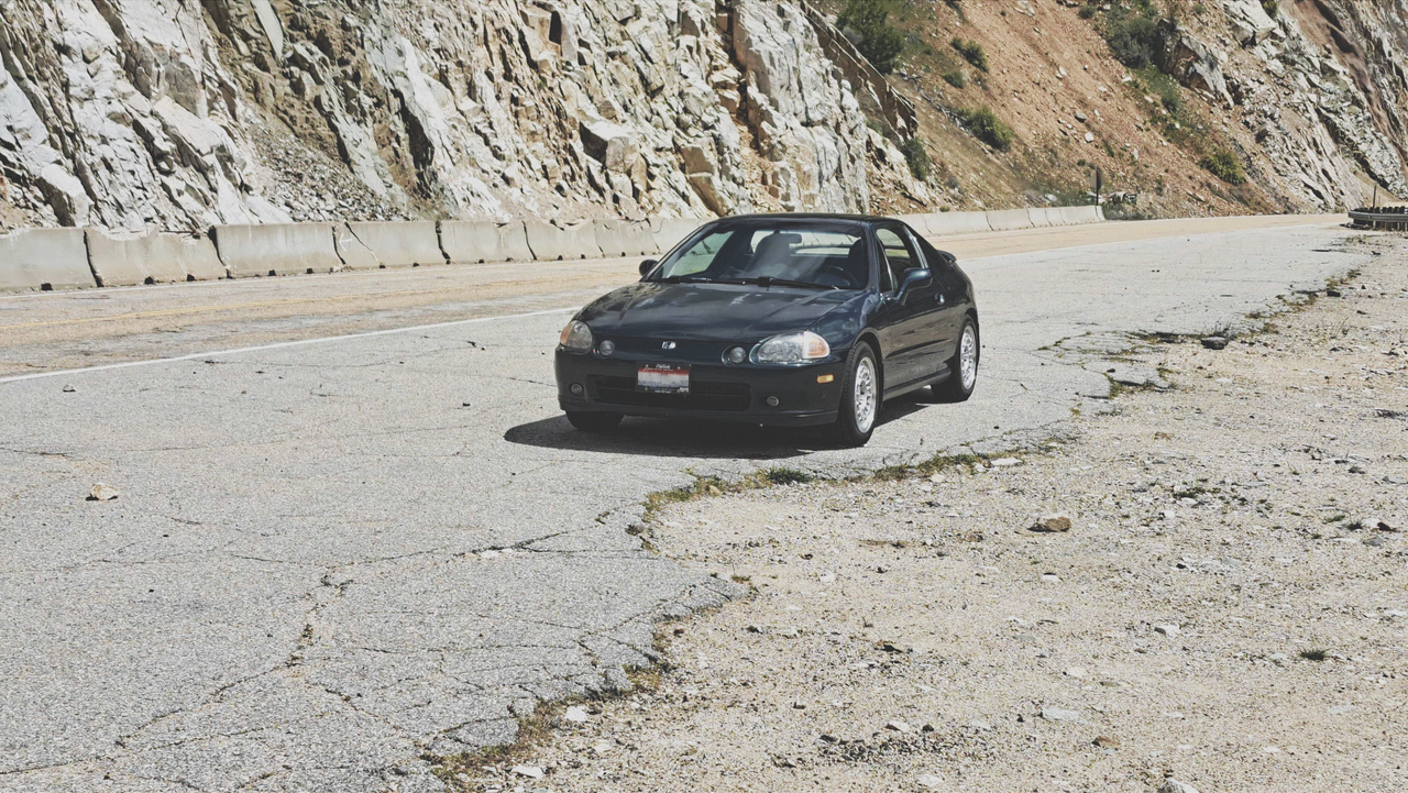 Green Delsol