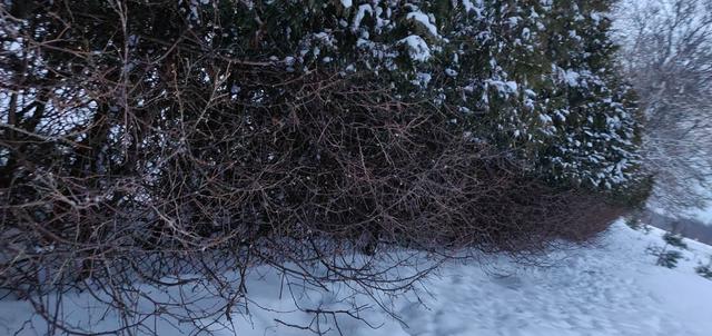 vartotojo �kelta nuotrauka