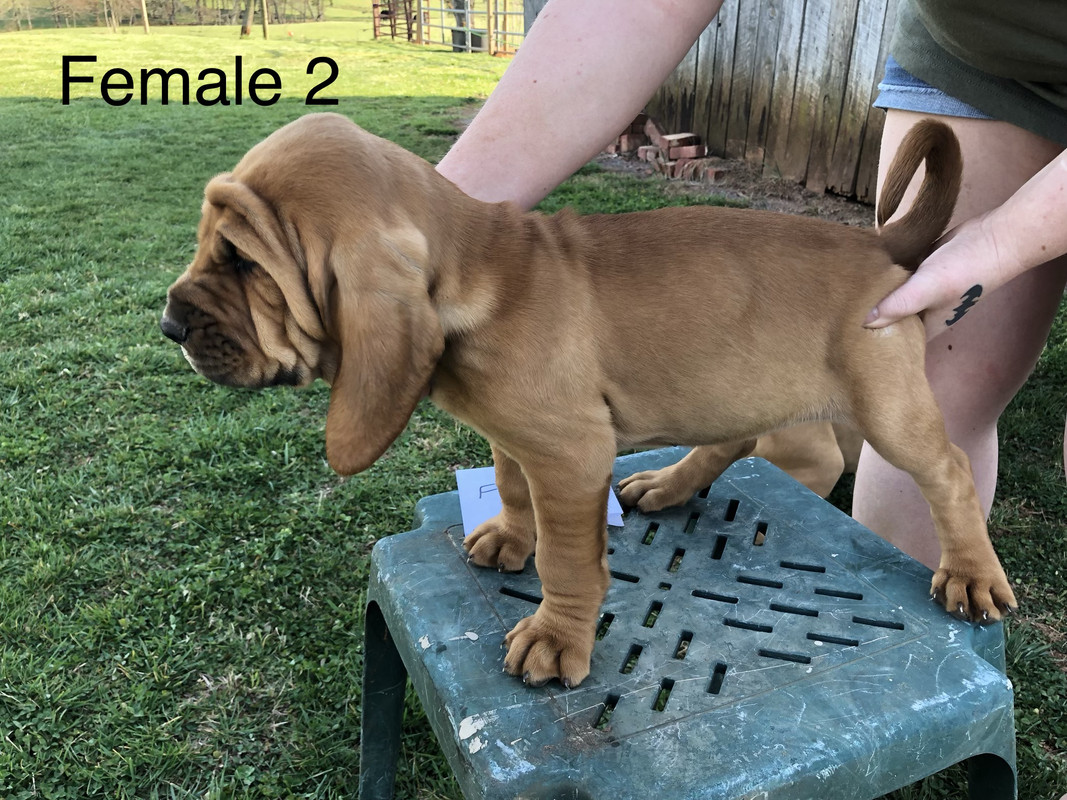 94364EF8-A2E5-4C3D-998F-0086E383D820