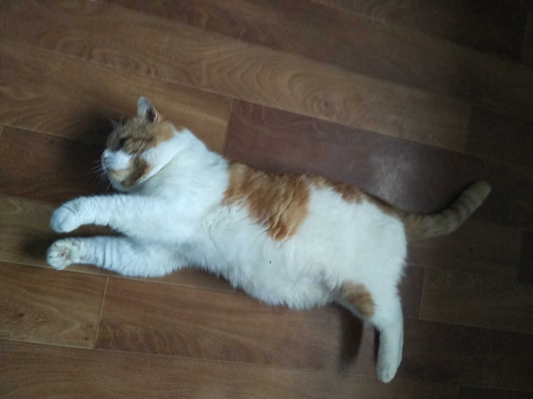 A053CB70-D688-41BF-BCD1-775CA719CF7B