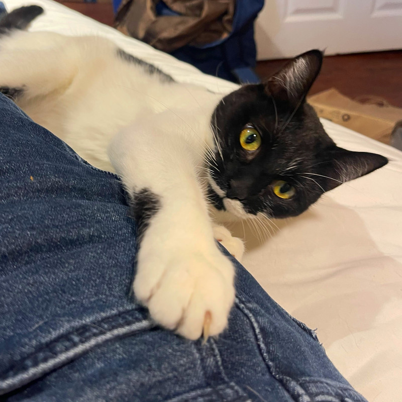 AE359BEE-269E-41DD-A45A-3DC7A326B000