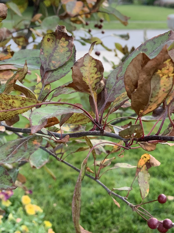 35B86740-F9B9-4B84-874E-8DCD08BA1D70