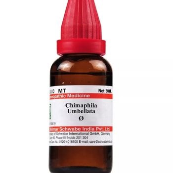 Willmar Schwabe India Chimaphila Umbellata 1X (Q) (30ml)
