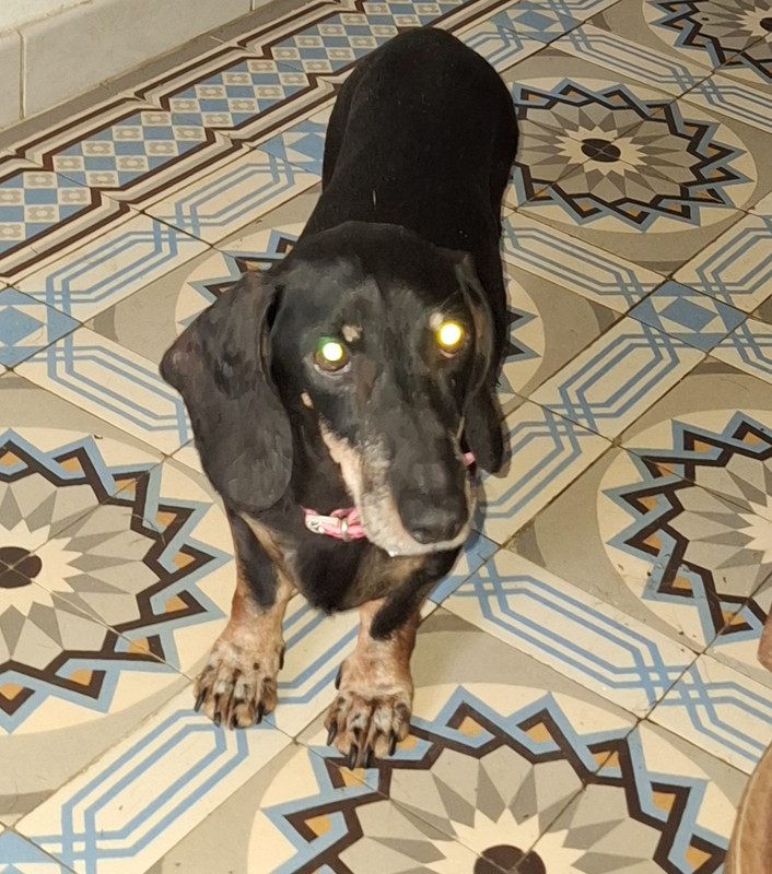 [Image: 20241015-174607.jpg]