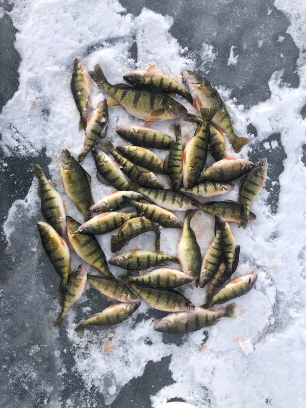 83B2CA8E-4A46-4A1F-9C35-C0F0F9268220