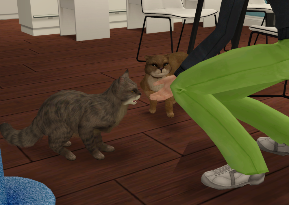 Sims2-EP9-RPC-2021-11-26-11-46-11-79