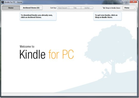 Kindle for PC 1.38