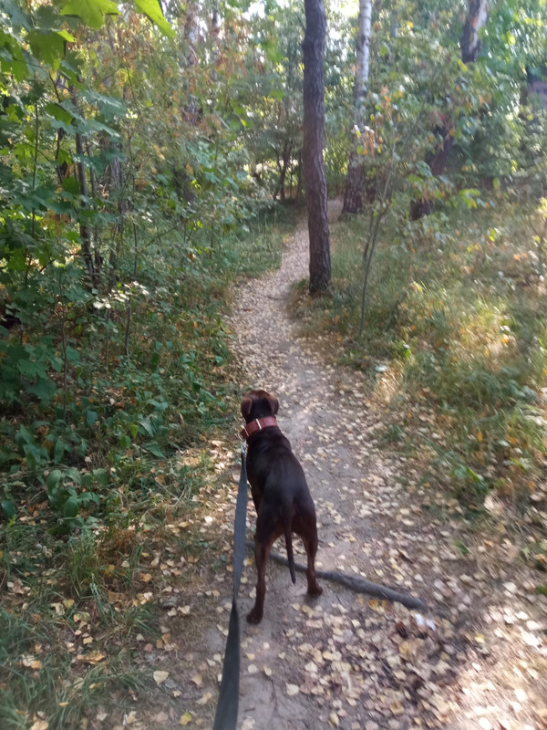 AEB52B7A-9396-41D6-9E72-A04B28199DF7