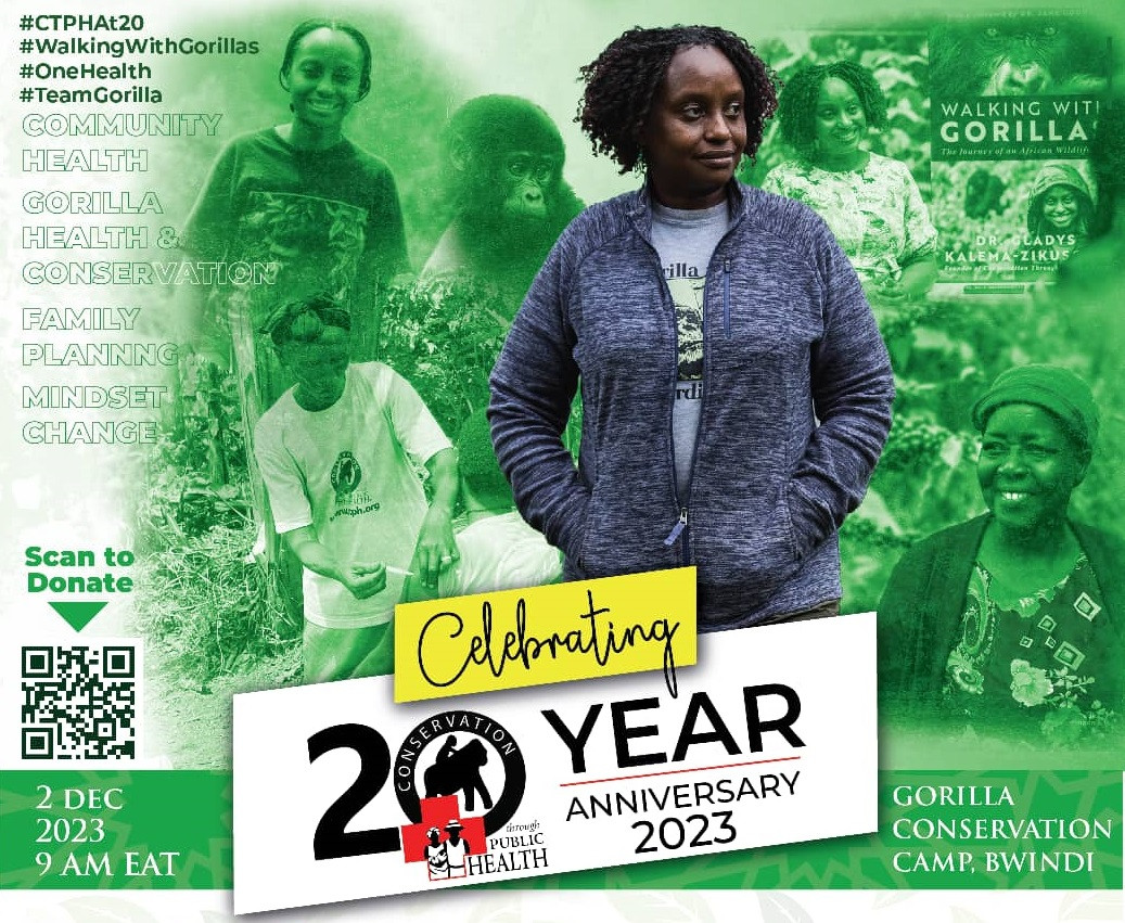 TsolHub Internship Program Illustration and Design