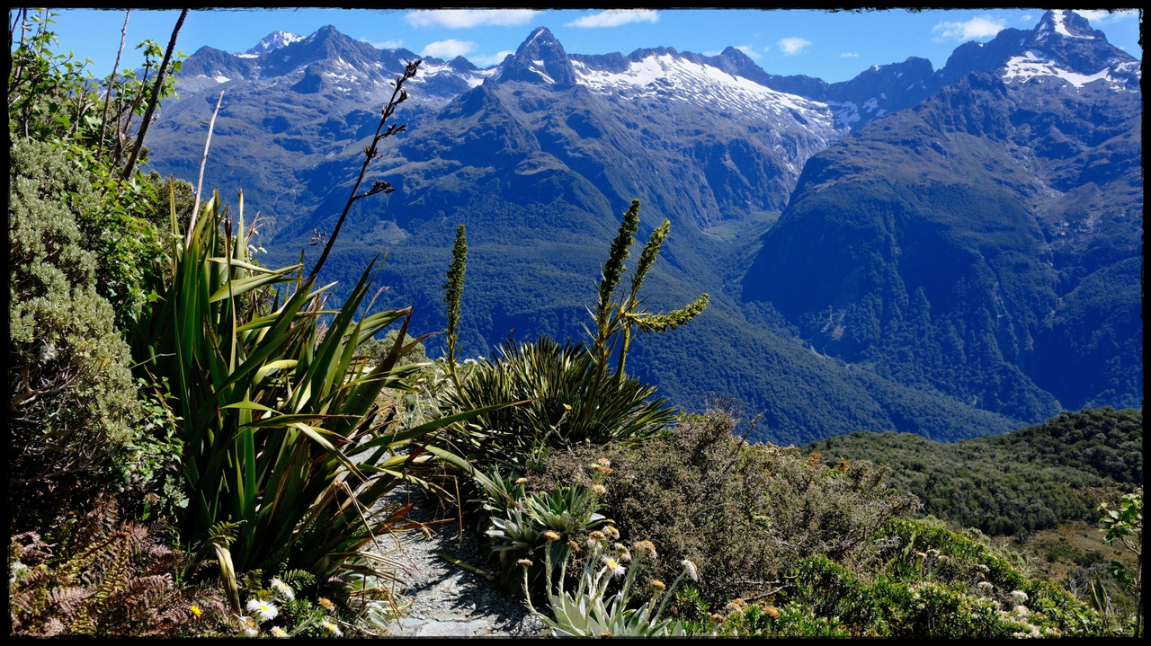 Routeburn versión extendida: Valley of the Trolls, Lake Wilson, Caples (feb. 26) - Escapadas y rutas por la Nueva Zelanda menos conocida (45)