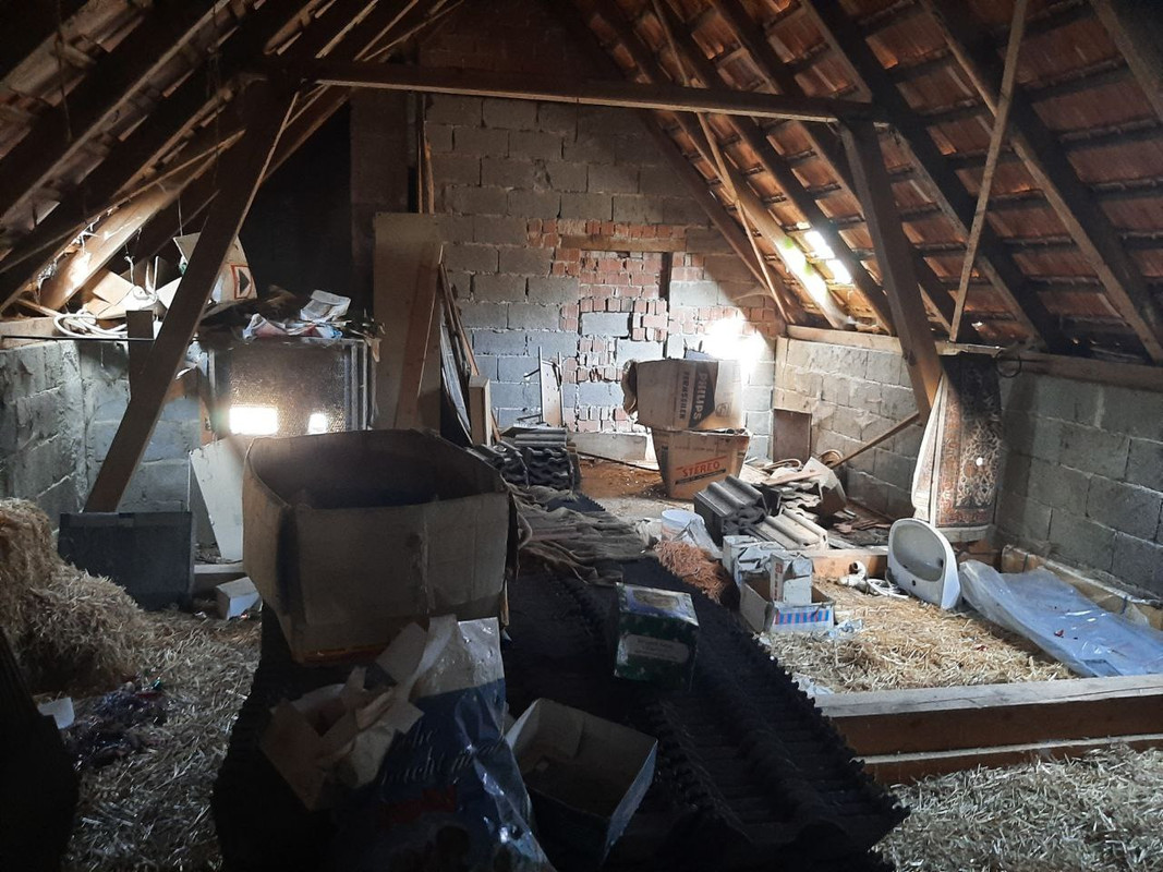 72E236B9-53B4-435D-B5B7-0198DD5254F8