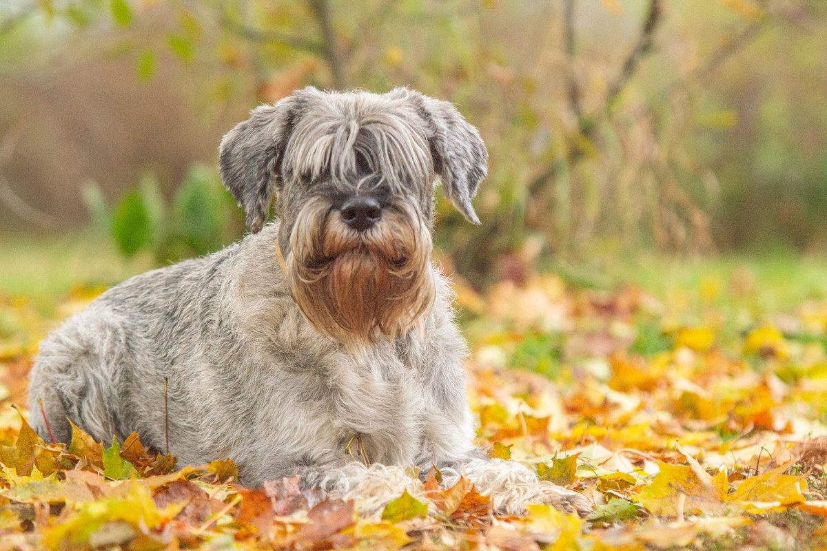 I2-e2NDWB6krCBmZlQPex4DtGdLDxoeiZJgOui5PuJvSmC4qHd0YgIIj0_6h7T-vNvHGcrEkjcMNPKjPLibCMD-a