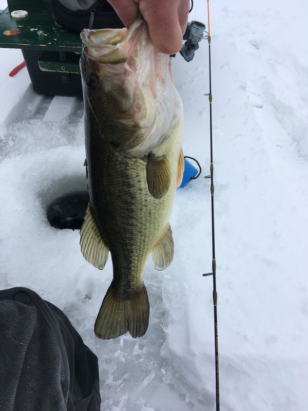 4576CF45-246D-496B-84BE-54F822D18610