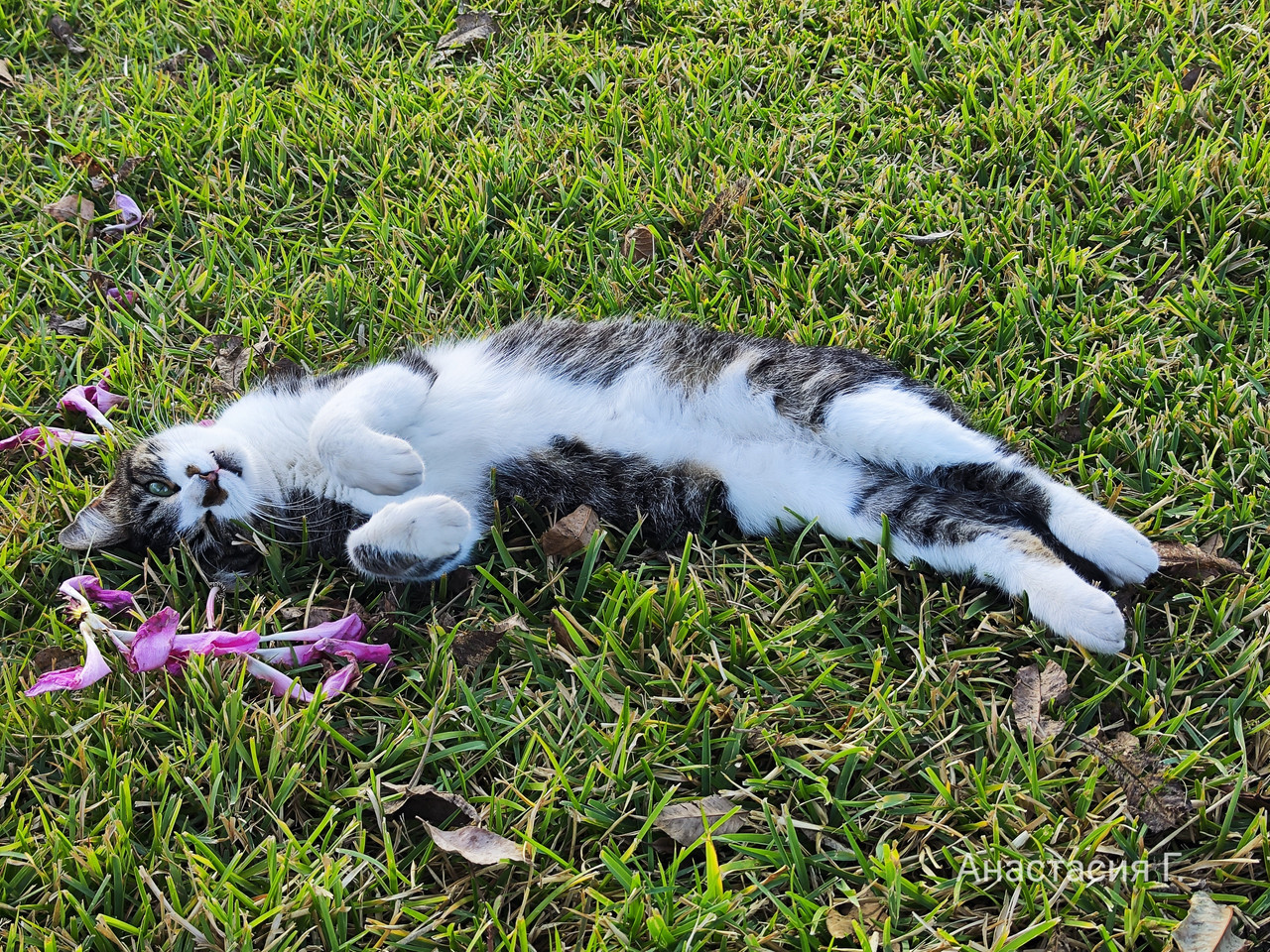 От Антальи на восток (до Мардина и Диярбакыра) + Анкара, ноябрь 2025.