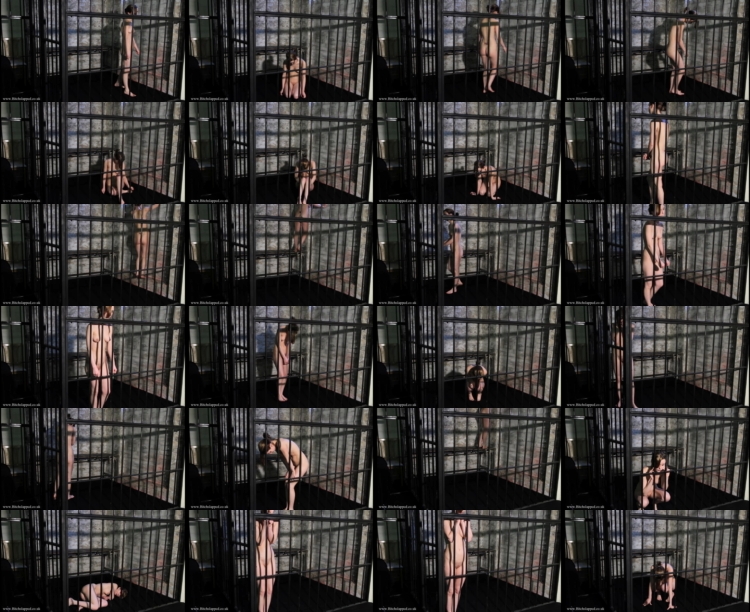474474bdsmmm212