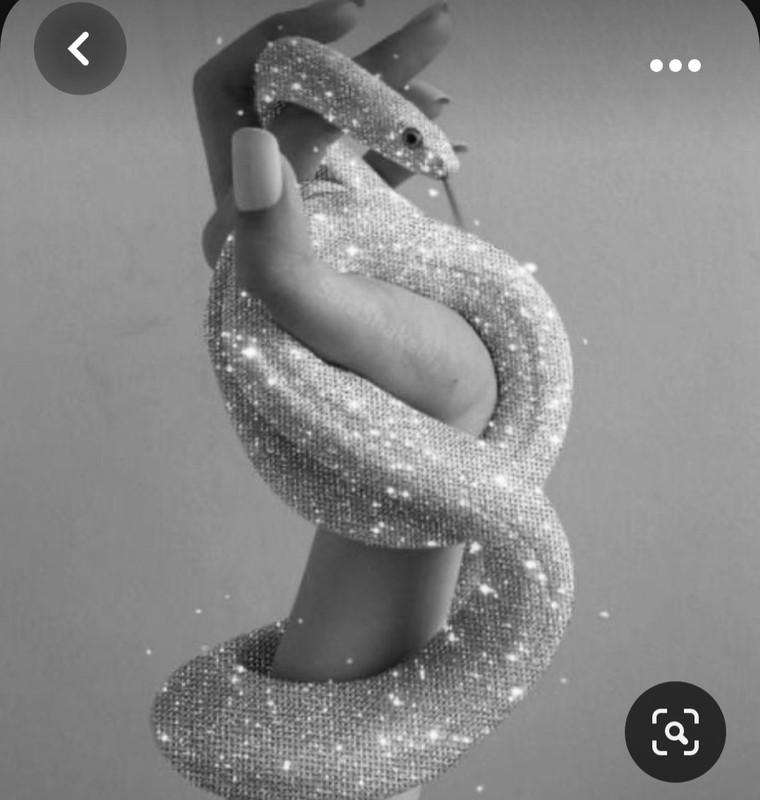 Screenshot_20231107_170453_Pinterest