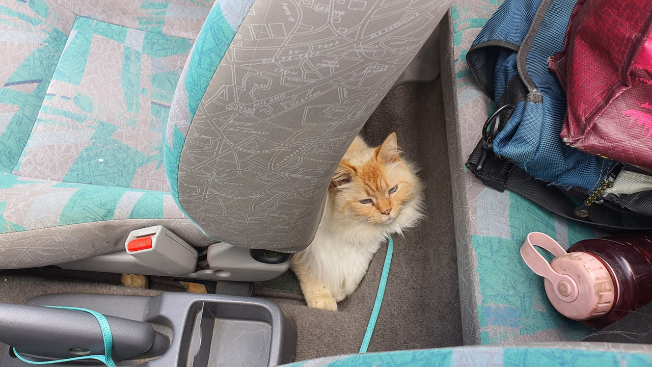 20221101_125621 (Custom)