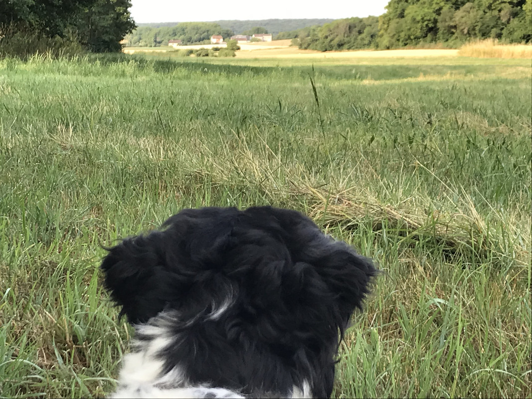 B062B5EF-8DAA-4B45-A606-CC85F543AE02