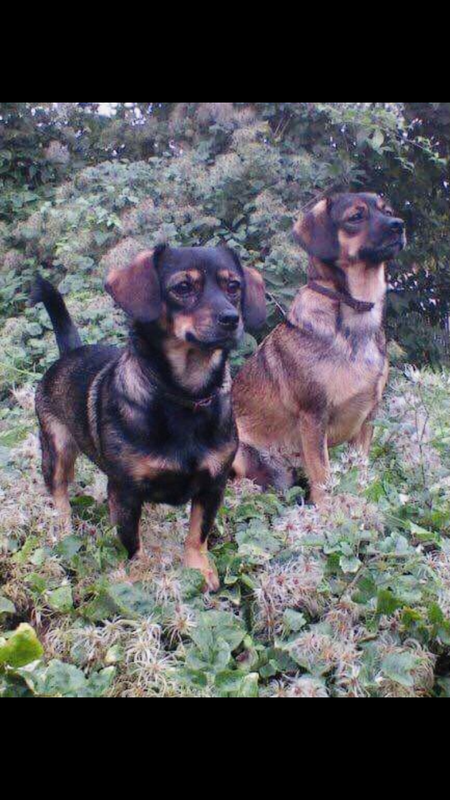 04E63145-D555-44B6-8009-4CB97B6CB70D