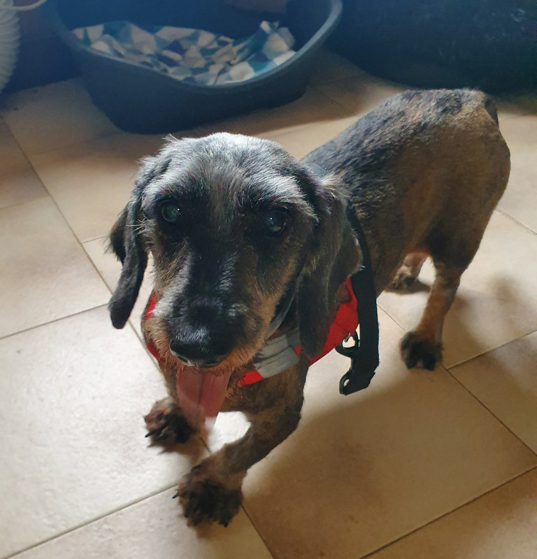 [Image: 20210618-084152.jpg]