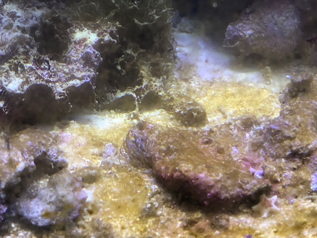 WhatsApp Image 2018-04-29 at 14.28.25(1)