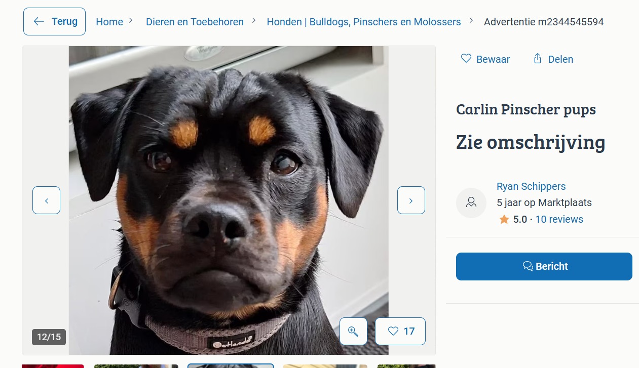 Afbeelding