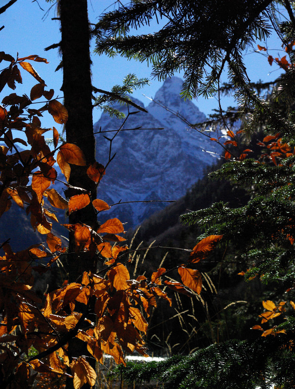 IMGP5562_stitch - копия